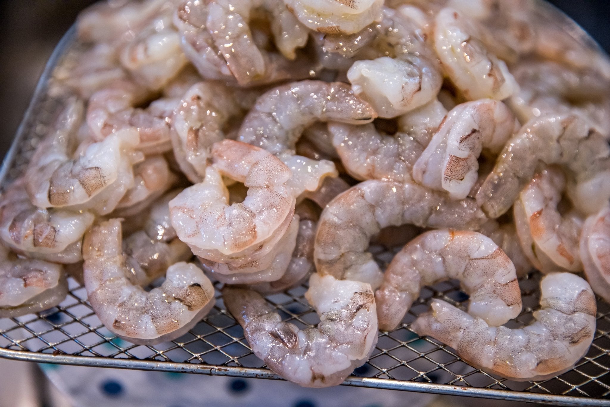 Shrimp Ms. Ann
 &ndash; Last Island