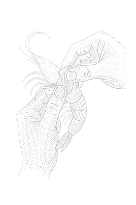 Peeled and deveined